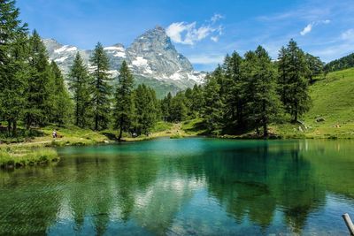 Scenic view of lake by trees against sky