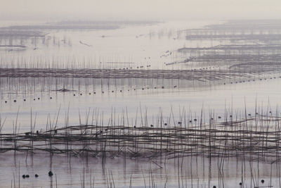 Seaweed farming area - xiapu of china