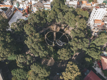 High angle view of trees and buildings