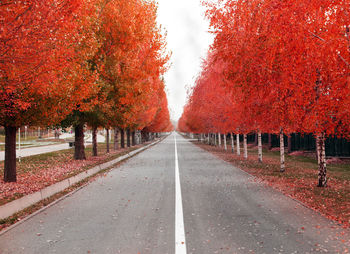 Road amidst autumn trees against sky