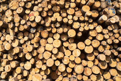 Full frame shot of logs in forest