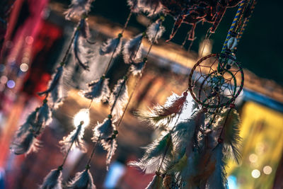 Close-up of dreamcatcher hanging at home