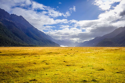 Scenic view of landscape against sky