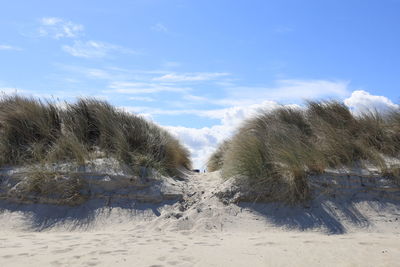 Scenic view of beach against sky during winter