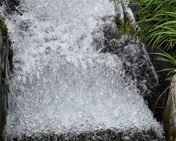 Close-up of water in grass