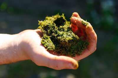 hand
