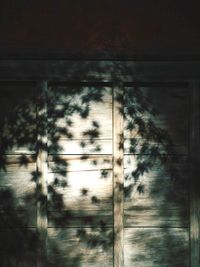 Close-up of wooden door