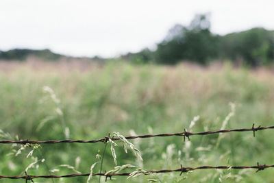 Close-up of barbed wire fence on field against sky