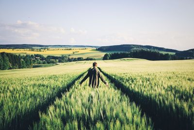 Scenic view of grassy field against sky
