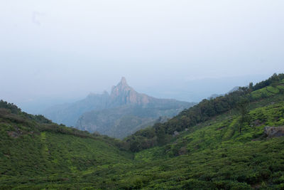 View of rangaswamy peek in kodanadu tea estate on early morning. clouds passing top of the mountain