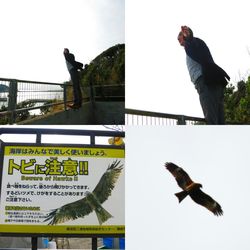 Low angle view of birds against sky