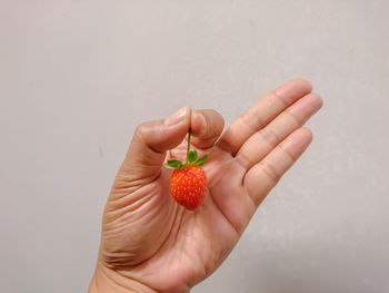 Cropped image of hand holding strawberry against white background