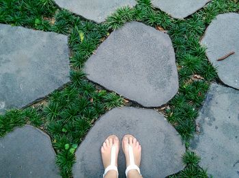 High angle view of woman standing on footpath