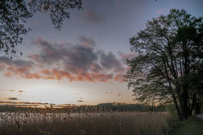 Scenic view of field against sky during sunset