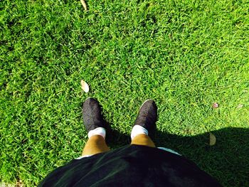 Low section of man standing on grass