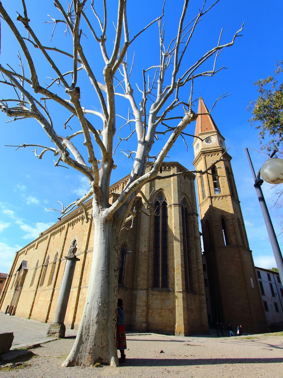 LOW ANGLE VIEW OF BUILDING AND TREES AGAINST SKY