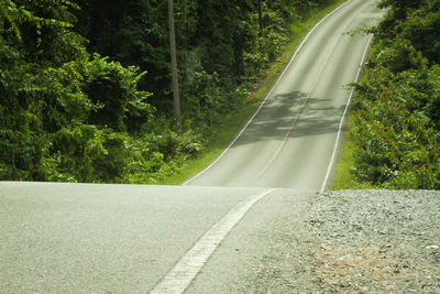 Road amidst trees in forest