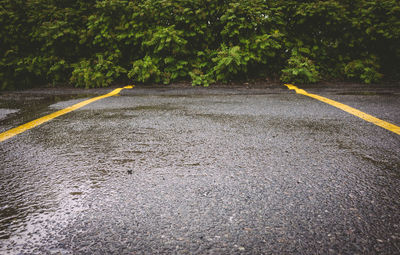 Close-up of road against trees