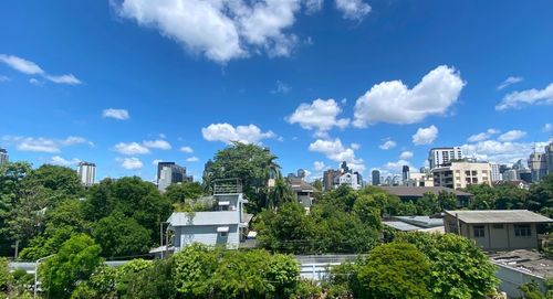 Trees and buildings against blue sky