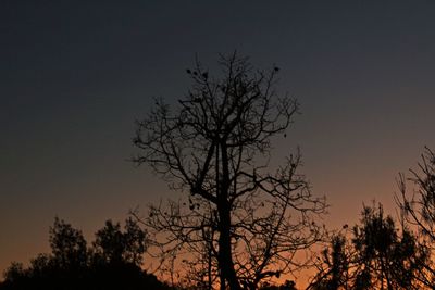 Silhouette bare tree against sky during sunset