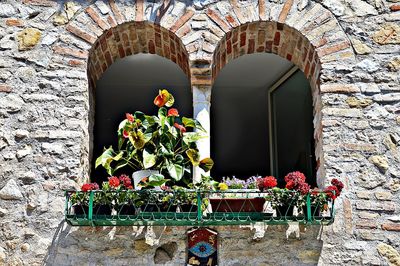 Potted plants on window of temple