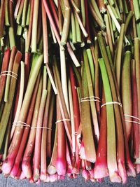 Close-up of rhubarb stalks