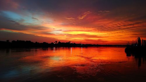 Silhouette of trees at sunset