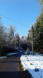 Snow covered trees against clear sky