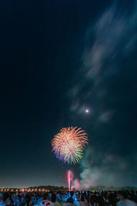 Low angle view of firework display at night