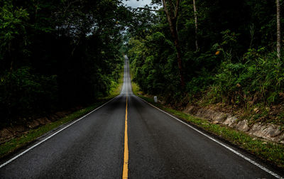 Empty road amidst trees in forest