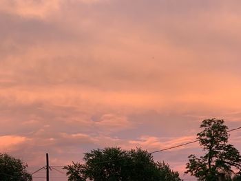 Low angle view of silhouette trees against orange sky