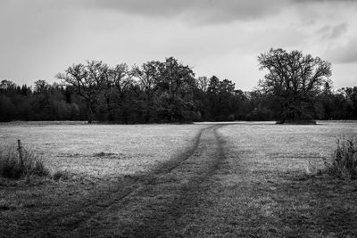 Scenic view of field against sky