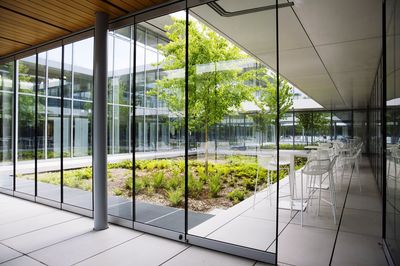 Plants seen through glass window of building