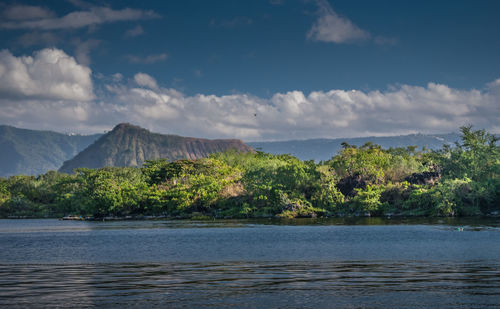 Scenic view of lake and trees against sky