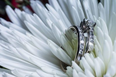 Close-up of diamond ring on flower