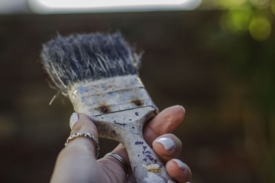Close-up of hand holding bouquet against blurred background