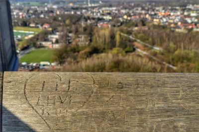 Detail shot of carving on wood against trees