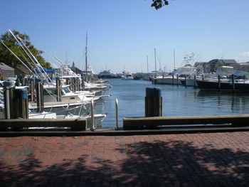 Boats moored at harbor against clear sky