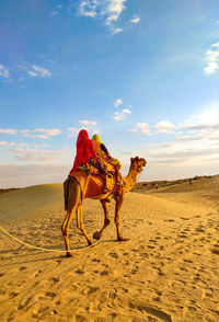 View of horse riding on sand at desert against sky