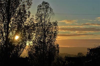 Low angle view of silhouette trees against sky during sunset