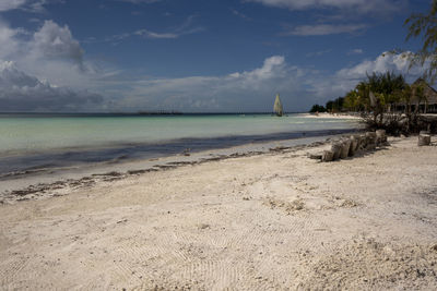 Scenic view of beach against sky