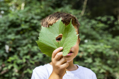 Portrait of cute boy looking through hole in leaf