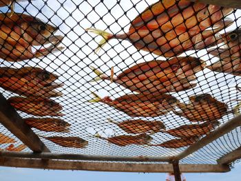 Low angle view of chainlink fence