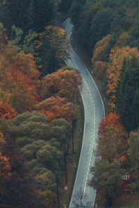 High angle view of road amidst trees during autumn