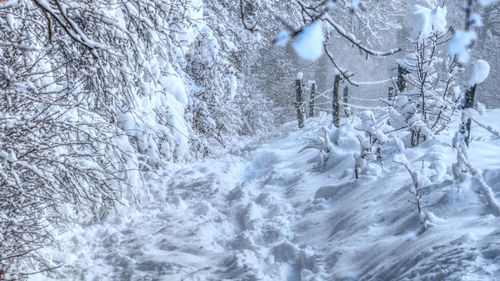 Full frame shot of snow covered land