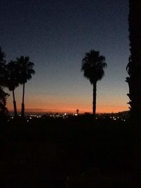 Silhouette of palm trees at sunset