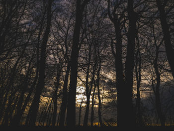 Silhouette trees in forest against sky