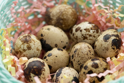 Close-up of christmas decorations