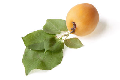 Close-up of lemon slice and leaves on white background