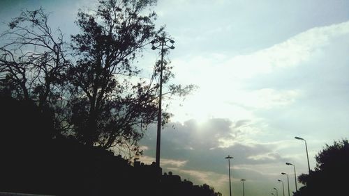 Low angle view of silhouette trees against sky